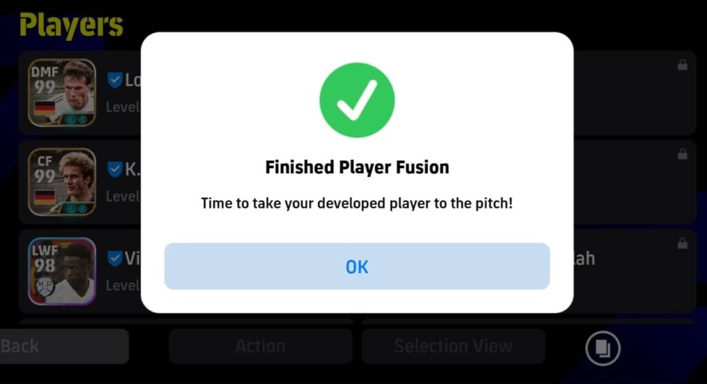 Finished Player Fusion